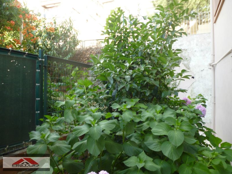 Bursa satılık daire